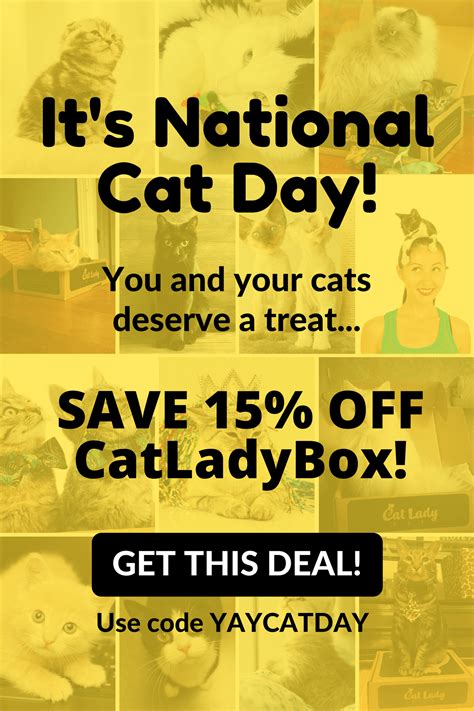 cat lady box coupon code|crazy cat lady box coupon.